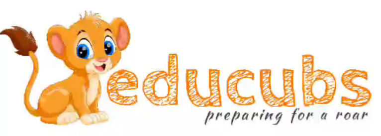 Educubs preschool and daycare in Mira Bhayandar